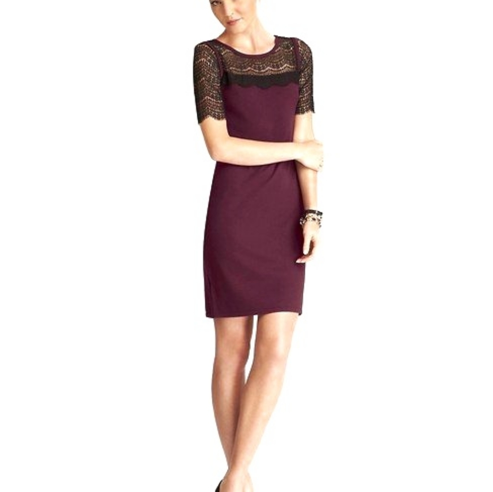 Ann Taylor Dress Petite Lace Dress knee-length short-sleeve burgundy Office NWT